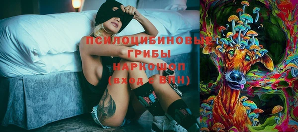 первитин Лиски
