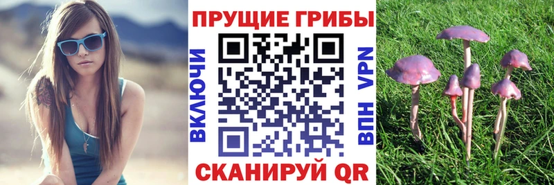 OMG   Арсеньев  Галлюциногенные грибы GOLDEN TEACHER 